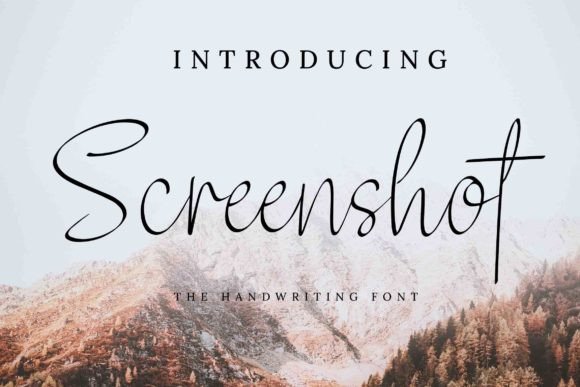How Screenshot Font Elevated My Brand’s Visual Identity